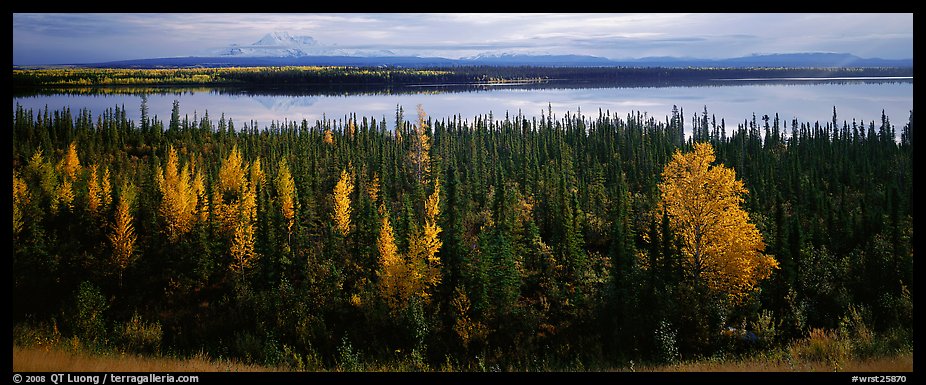 Autumn scenery with forest, lake, and distant mountains. Wrangell-St Elias National Park, Alaska, USA.