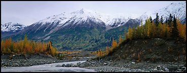 Autumn mountain landscape with snowy peaks above river and trees. Wrangell-St Elias National Park (Panoramic color)
