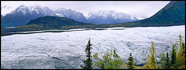 Wide mountain glacier. Wrangell-St Elias National Park (Panoramic color)