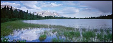 Reeds, pond, and mountains with open horizon. Wrangell-St Elias National Park, Alaska, USA.