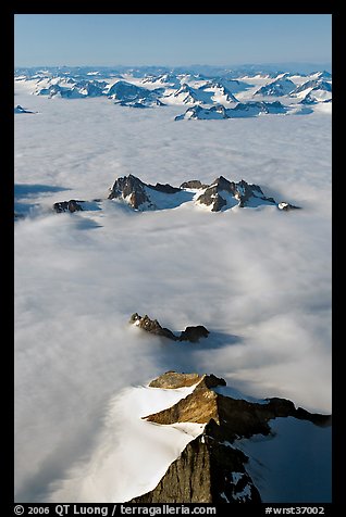 Aerial view of ridges and summits emerging from sea of clouds, St Elias range. Wrangell-St Elias National Park, Alaska, USA.