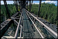 Canyon and river from the Kuskulana bridge. Wrangell-St Elias National Park, Alaska, USA.