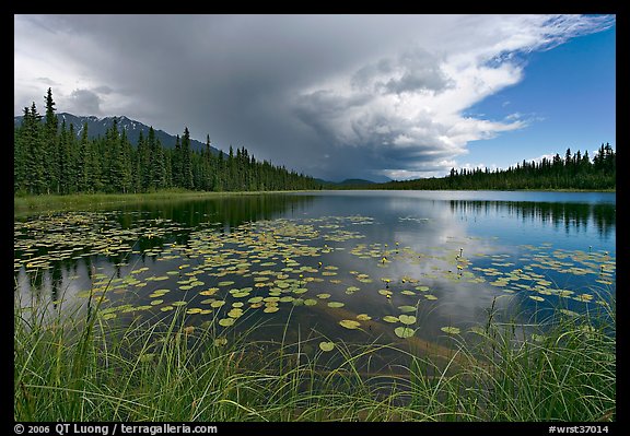 Crystal Lake with starting afternoon shower. Wrangell-St Elias National Park, Alaska, USA.