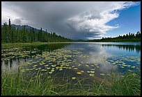 Crystal Lake with starting afternoon shower. Wrangell-St Elias National Park, Alaska, USA.