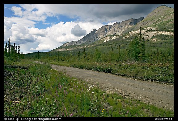 McCarthy road and mountains. Wrangell-St Elias National Park (color)