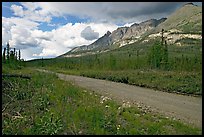 McCarthy road and mountains. Wrangell-St Elias National Park, Alaska, USA. (color)