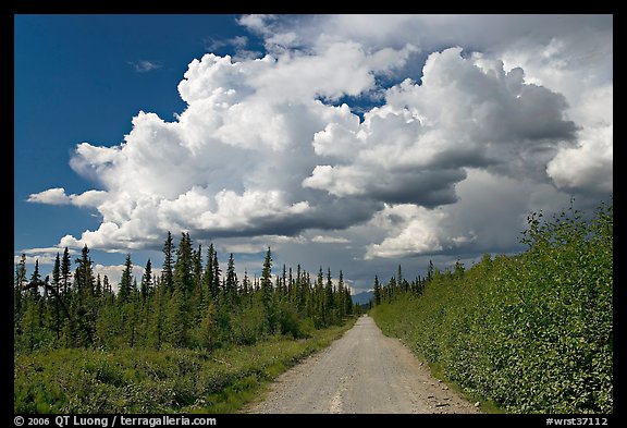 Mc Carthy road and afternoon thunderstorm clouds. Wrangell-St Elias National Park, Alaska, USA.