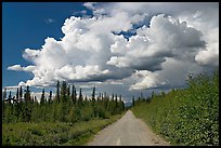 Mc Carthy road and afternoon thunderstorm clouds. Wrangell-St Elias National Park, Alaska, USA.