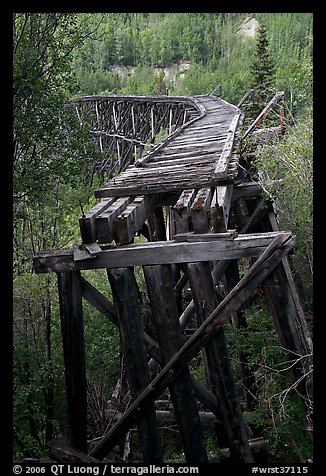 Old railroad bed on Gilahina trestle. Wrangell-St Elias National Park, Alaska, USA.