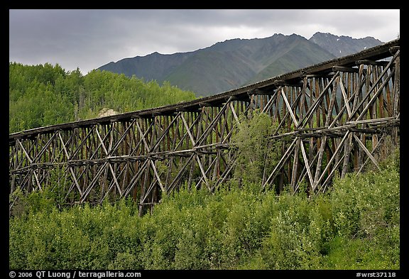 Historic Railroad trestle crossing valley. Wrangell-St Elias National Park (color)