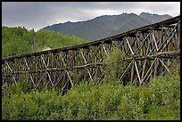 Historic Railroad trestle crossing valley. Wrangell-St Elias National Park, Alaska, USA.