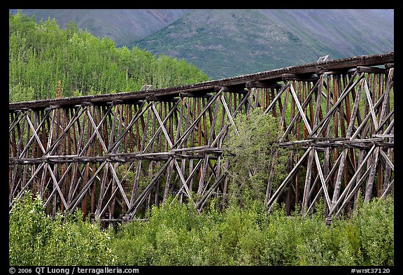 Section of Gilahina trestle constructed in 1911. Wrangell-St Elias National Park, Alaska, USA.