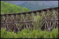 Section of Gilahina trestle constructed in 1911. Wrangell-St Elias National Park, Alaska, USA.