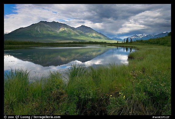 Grasses, lake, and mountains. Wrangell-St Elias National Park, Alaska, USA.