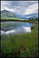 Flowers, grasses, lake, and mountains. Wrangell-St Elias National Park, Alaska, USA.