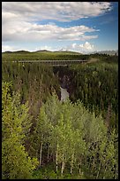 Aspen, Kuskulana canyon and bridge. Wrangell-St Elias National Park, Alaska, USA.