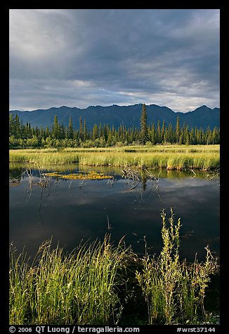 Pond, tundra and mountains. Wrangell-St Elias National Park (color)