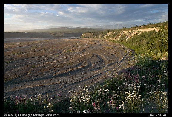 River plain of the Kotsina. Wrangell-St Elias National Park, Alaska, USA.