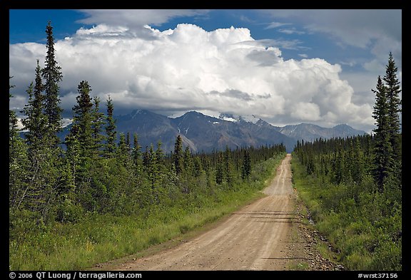 Nabesna Road, mid-afternoon. Wrangell-St Elias National Park, Alaska, USA.