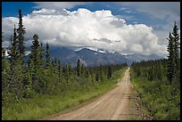Nabesna Road, mid-afternoon. Wrangell-St Elias National Park, Alaska, USA.