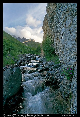 Stream and cliff, Skokum Volcano. Wrangell-St Elias National Park, Alaska, USA.