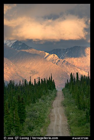 Road leading to mountains and clould lit by sunset light. Wrangell-St Elias National Park (color)