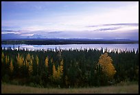 Mt Wrangell and Willow Lake, morning. Wrangell-St Elias National Park, Alaska, USA.