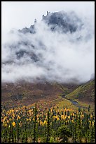 Spires of Skookum Volcano emerging from mist. Wrangell-St Elias National Park ( color)