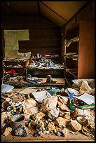 Table covered with ore samples. Wrangell-St Elias National Park ( color)