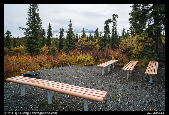 Amphitheater, Kendesnii campground. Wrangell-St Elias National Park, Alaska, USA.