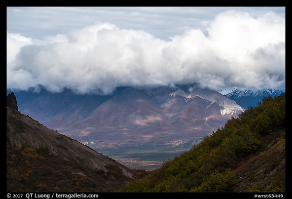 Cloud hugging mountaintop across valley. Wrangell-St Elias National Park (color)