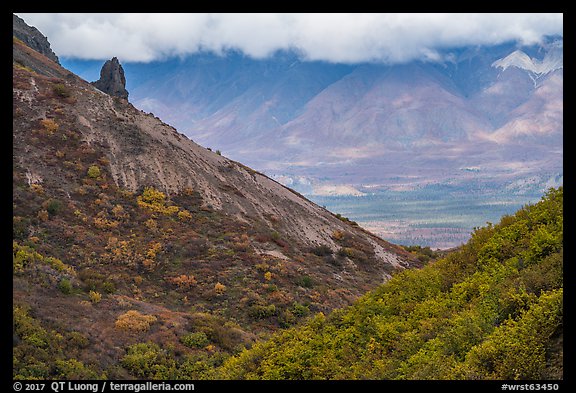 Jack Creek Valley from Skookum Volcano. Wrangell-St Elias National Park (color)