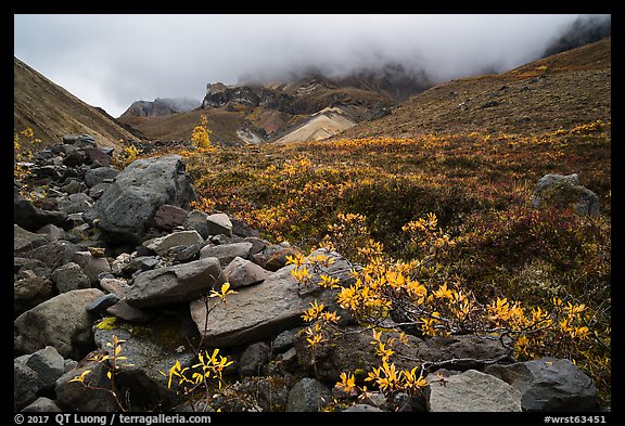 Rocks and tundra with shrubs in autumn colors, Skookum Volcano. Wrangell-St Elias National Park (color)