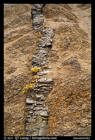 Eroded dike, Skookum Volcano. Wrangell-St Elias National Park (color)