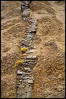 Eroded dike, Skookum Volcano. Wrangell-St Elias National Park ( color)