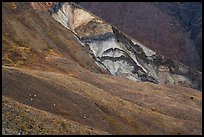 Dall sheep on hillsides, Skookum Volcano. Wrangell-St Elias National Park ( color)