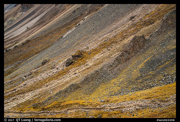 Slopes, Skookum Volcano. Wrangell-St Elias National Park (color)