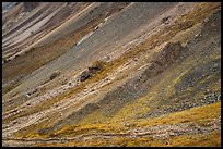 Slopes, Skookum Volcano. Wrangell-St Elias National Park ( color)