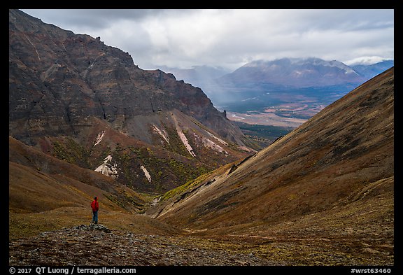 Visitor looking, Skookum Volcano. Wrangell-St Elias National Park, Alaska, USA.