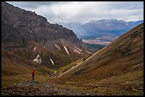 Visitor looking, Skookum Volcano. Wrangell-St Elias National Park, Alaska, USA.