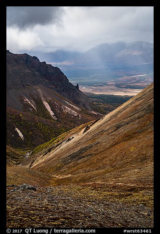 Tundra and volcanic spires, Skookum Volcano. Wrangell-St Elias National Park (color)