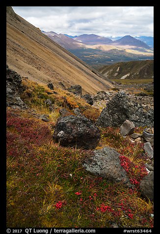 Landslide slope, tundra on Skookum Volcano. Wrangell-St Elias National Park (color)