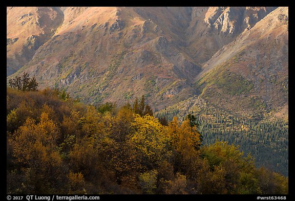 Autumn foliage and Boyden Hills. Wrangell-St Elias National Park (color)