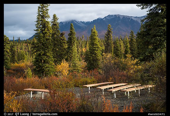 Amphitheater, Kendesnii campground. Wrangell-St Elias National Park, Alaska, USA.