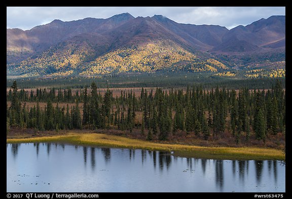 Lakeshore and mountains with autumn foliage. Wrangell-St Elias National Park (color)