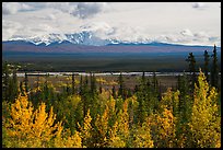 Trees in autumn foliage, Copper River, and Mount Blackburn. Wrangell-St Elias National Park ( color)