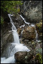 Jumbo Creek. Wrangell-St Elias National Park ( color)