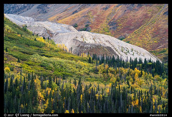 Rock Glacier in autumn. Wrangell-St Elias National Park (color)