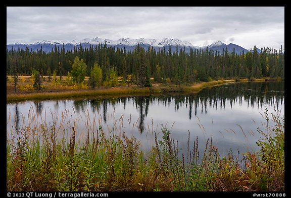 Pond in autumn with spruce and snowy mountains. Wrangell-St Elias National Park (color)