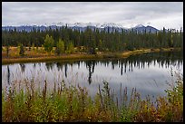 Pond in autumn with spruce and snowy mountains. Wrangell-St Elias National Park ( color)